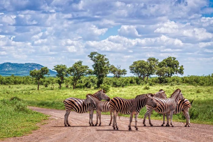 África
