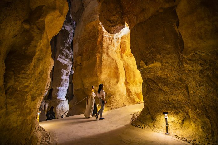 Escápese al oasis de Al Ahsa: Una maravilla natural que espera ser explorada