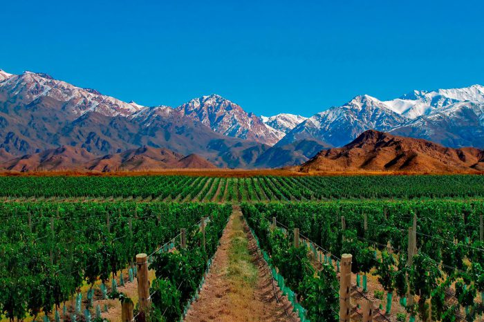 Mendoza – Abril a junio 2023