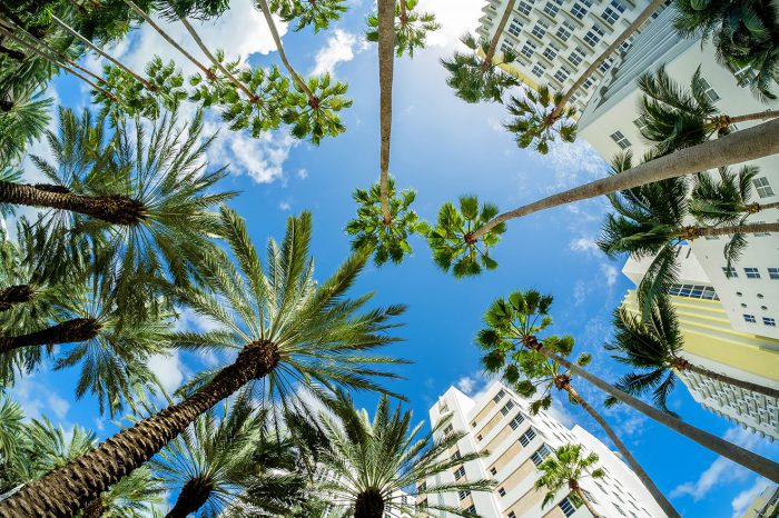 Miami (Lexington) – Mayo 2025