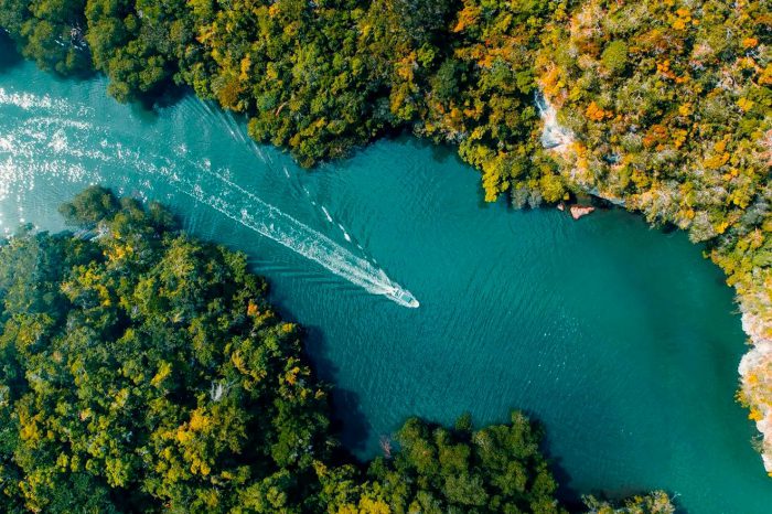 Excursión a Samaná y Cayo Levantado