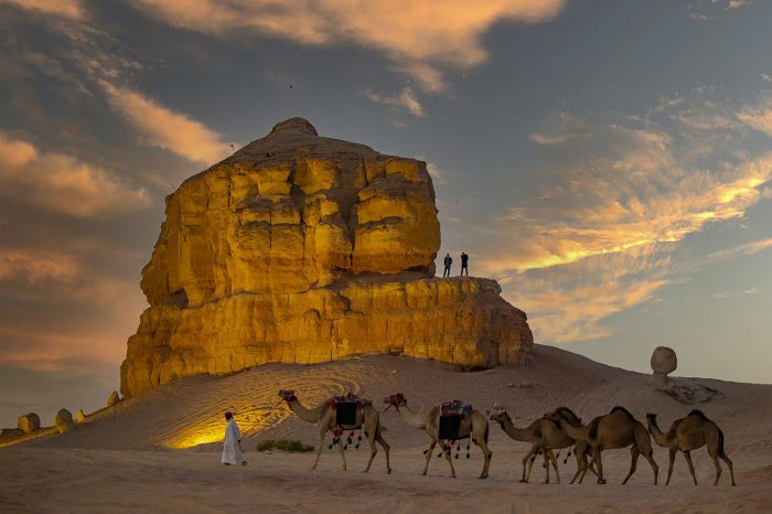 Explora Al Ahsa: Descubre el oasis más grande del mundo