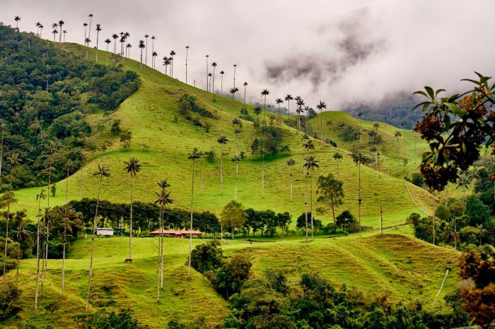Colombia: Bogotá, Cali, Eje Cafetero, Medellín y Cartagena – Enero a diciembre 2025