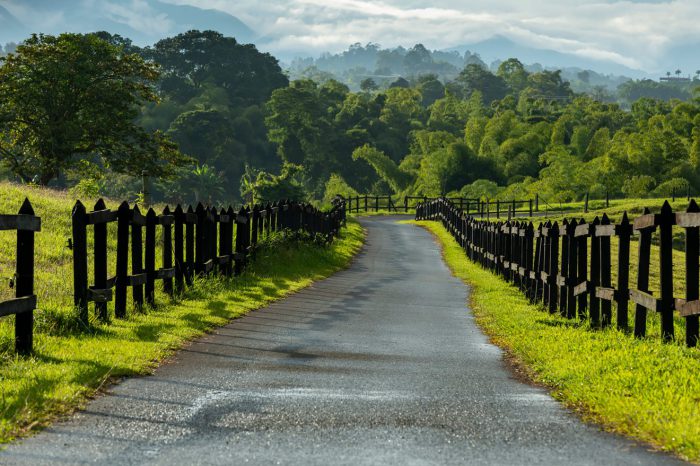 Colombia: Bogotá, Pereira (zona cafetera) y Cartagena – Enero a diciembre 2025